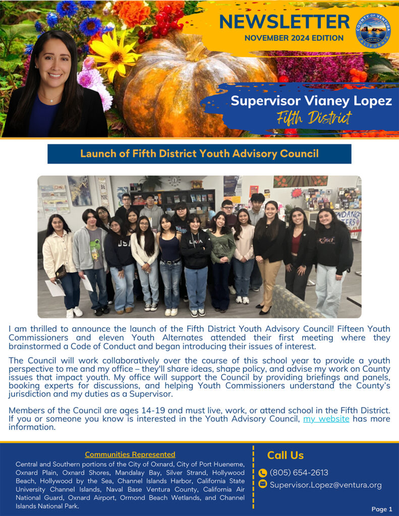 Newsletter November 2024